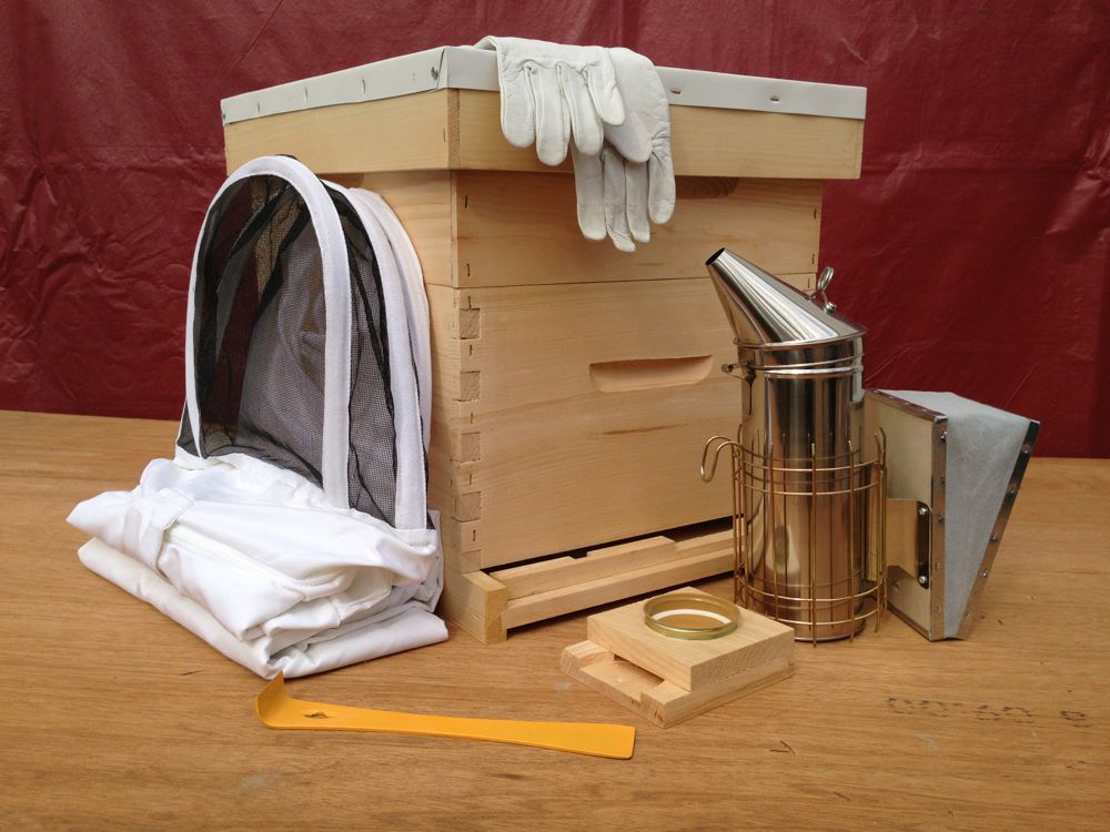 . Beekeeping Starter Kit with Assembled 10 Frame Beehive START SAVING BEES ...