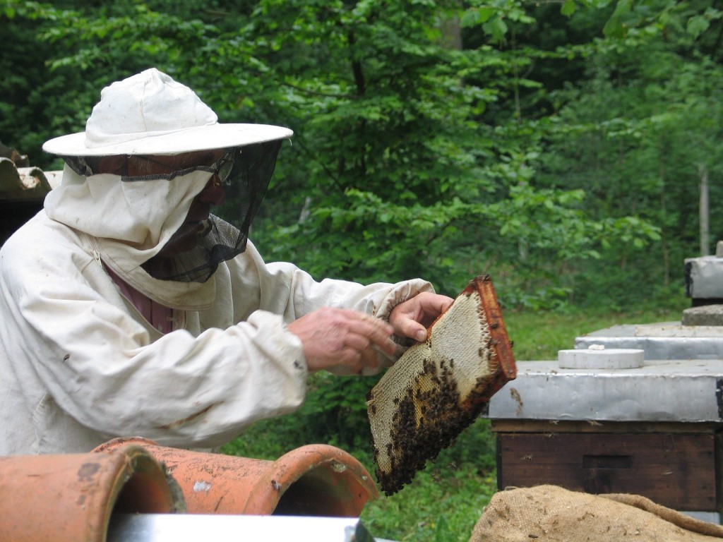 What is Beekeeping