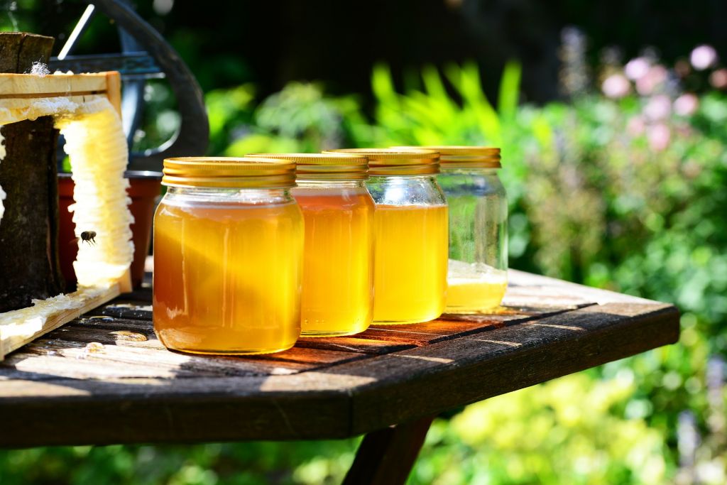 Honey Harvesting Equipment