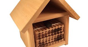 Chalet Bee House Kits With Bees