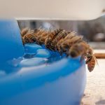 Ultimate Hive Feeder for Beekeepers