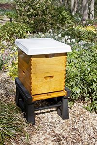 Ultimate Hive Stand for Beekeepers