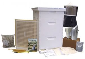 Beekeeping Starter Kit - BuildaBeehive Gold Standard Beehive Starter Kit