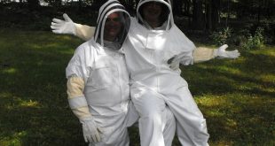 Best Beekeeping Suits