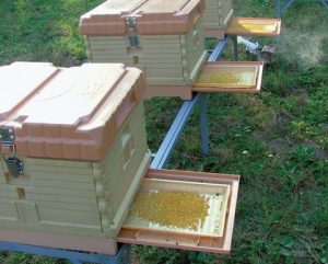 Apimaye 10 Frame Langstroth Insulated Beehive Set