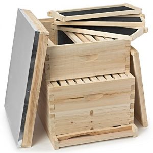 Honey Keeper Beehive 20 Frame Complete Box Kit