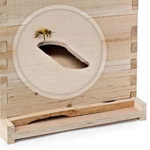 Honey Keeper Beehive 20 Frame Complete Box Kit