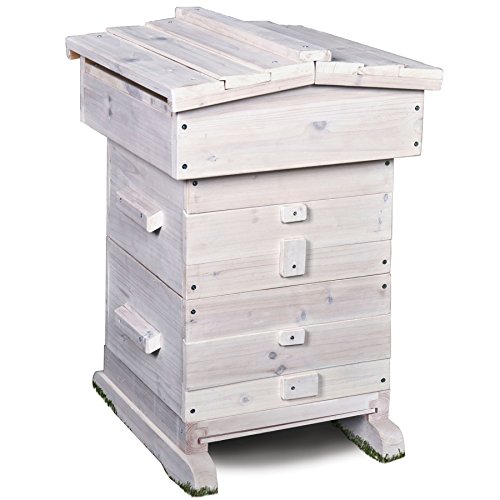 Best Bee Hive Boxes Standalone and Expansion Kits (2023)