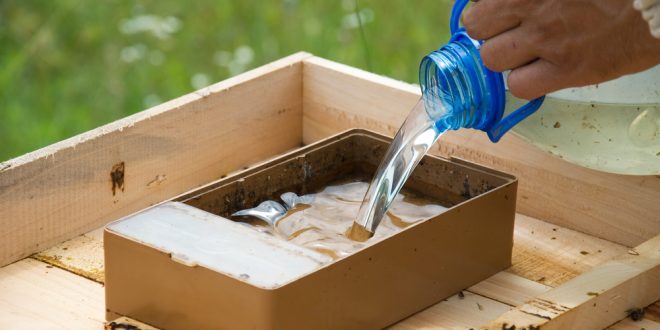 How To Add Feeders To Your Bee Hive Beekeepclub
