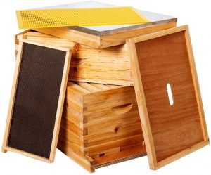 BeeCastle 10-Frames Complete Beehive Kit ,Wax Coated Bee Hive