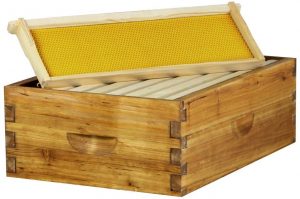 Best Beehives and Bee Hive Boxes - Hoover Hives 8 Frame Langstroth Medium Super Box