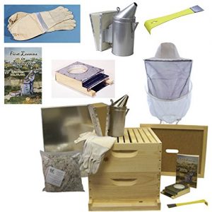 Beginning Beekeeping Supplies - Beekeeping Starter Kits