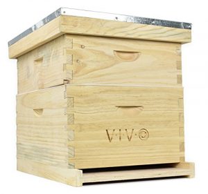Best Bee Hive Boxes - VIVO BEE-HV01 Complete Hive Kit