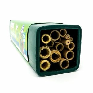 Best Mason Bee Houses - Crown Bees Spring and Summer Wild Bee Adventure Garden