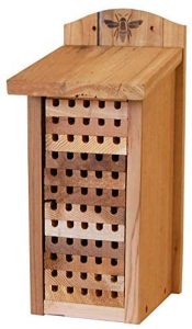 Best Mason Bee House - Woodlink 28551 Cedar Mason Bee House