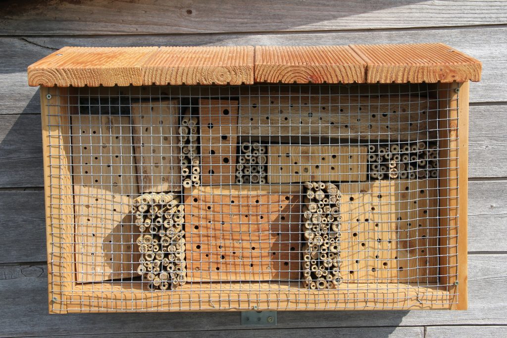 Best Mason Bee House - When to Install Mason Bee House
