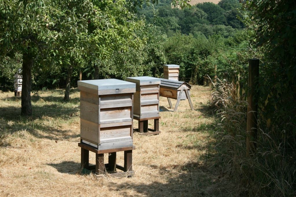 for Beekeepers from Farmstand Supply Homestead Essentials Ultimate Hive Top Cover 2-Pack 10 Frame Telescopic 2