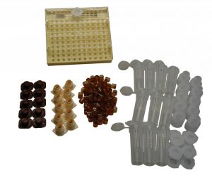 Best Queen Rearing Starter Kits - Mann Lake QC100 Complete Queen Rearing Kit