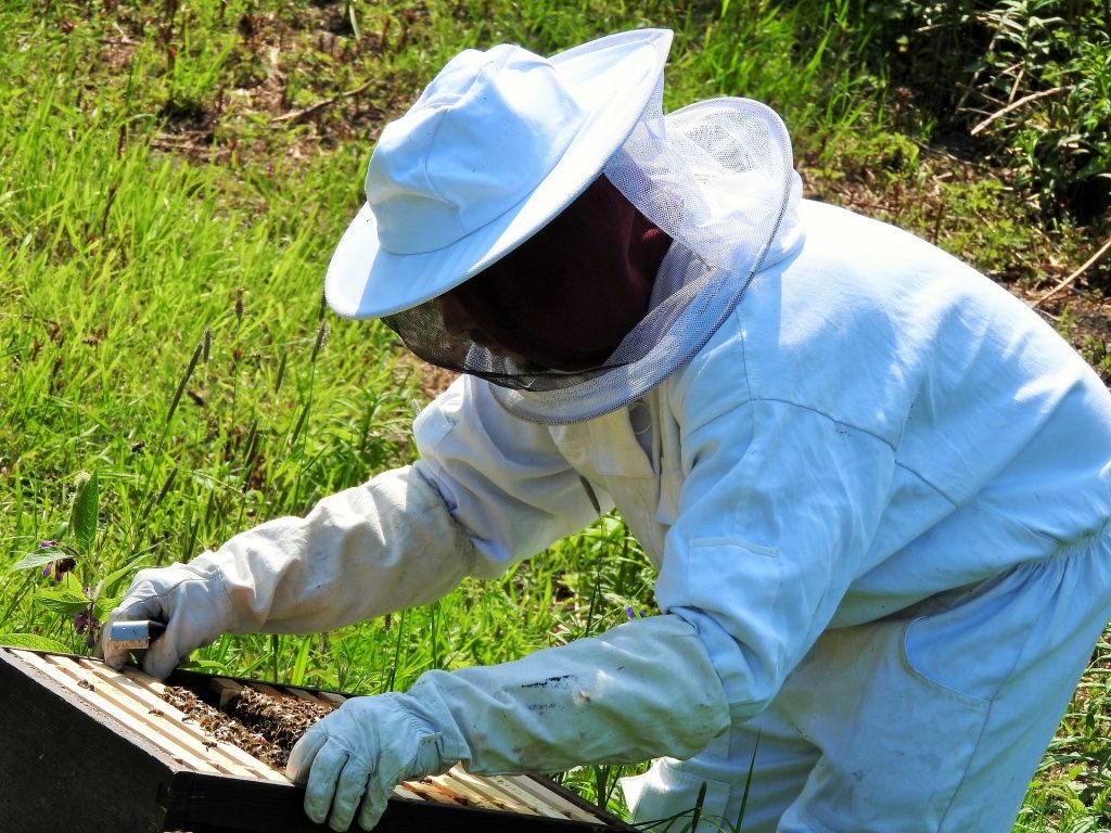 What is Beekeeping - Safety in Beekeeping