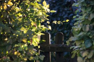 Beekeeping Tips - Manage your Neighbours