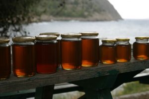 Beekeeping Tips - Honey Harvesting