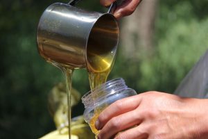 Beekeeping Tips - The True Measure of Successful Beekeeping