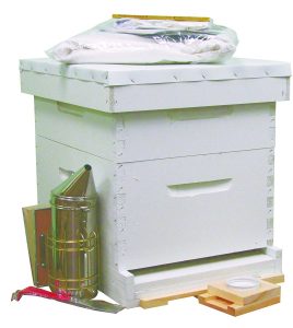 Beeline Apiaries Complete Starter Hive Kit