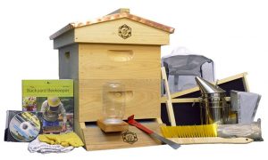 Top 10 Best Beekeeping Starter Kits (2019) - BeeKeepClub