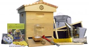 Brushy Mountain Bee Farm English Garden Hive Beginners Kit