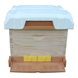 KO1 Bee Hive with Apimaye Handy Frames