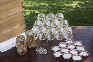 SummerHawk Ranch 38533 Honey Jar Hive