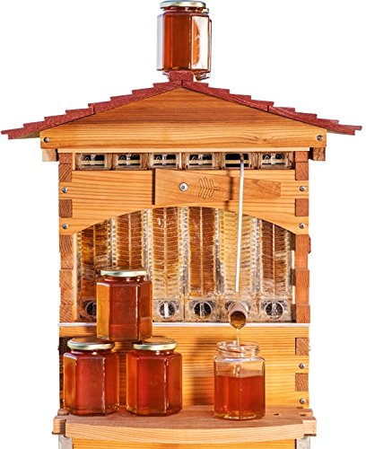 Flow Hive Review - Classic Cedar 6 Frame Langstroth Beehive