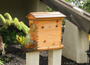 Flow Hive Review - Flow Classic Cedar 6 Frame Langstroth Beehive