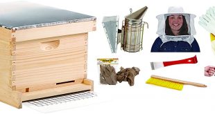 Little Giant Farm & Ag HIVE10KIT Frame Beginner Hive Kit