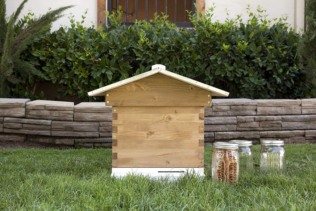 SummerHawk Ranch 38525 Backyard Bee Hive