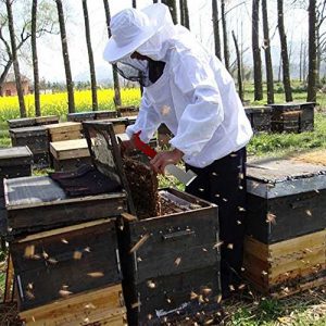 Beginner Beekeeping Mistakes - Throwing Away what can be Reused