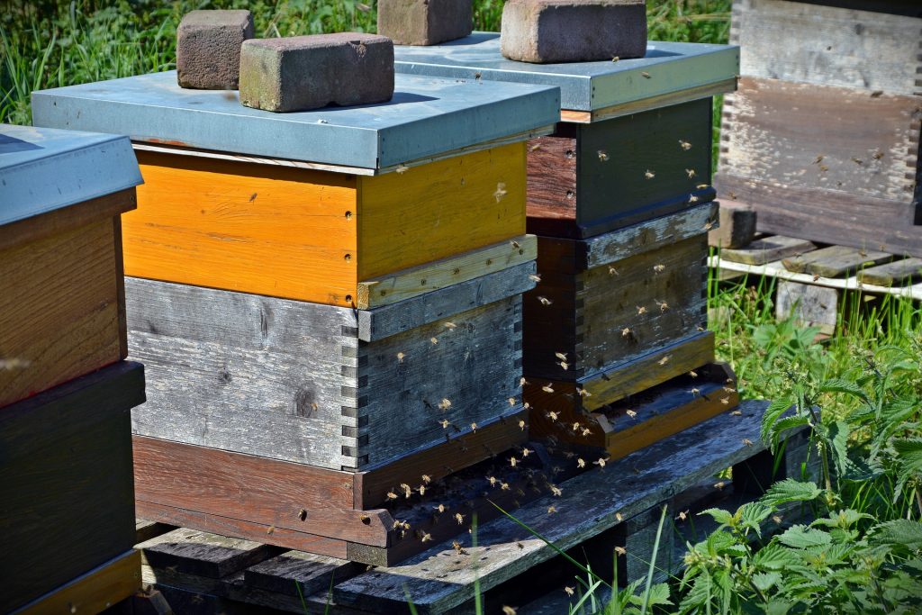 Beginning Beekeeping Supplies - Bee Hive