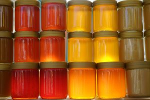 How to Start a Honey Business - Gallons of Honey