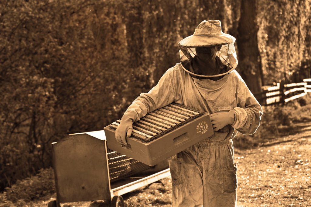 Beginning Beekeeping Supplies - Bee Suit and Gloves