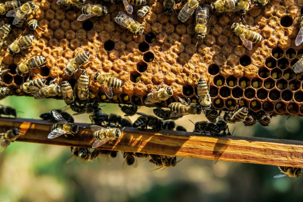 How to Split a Hive