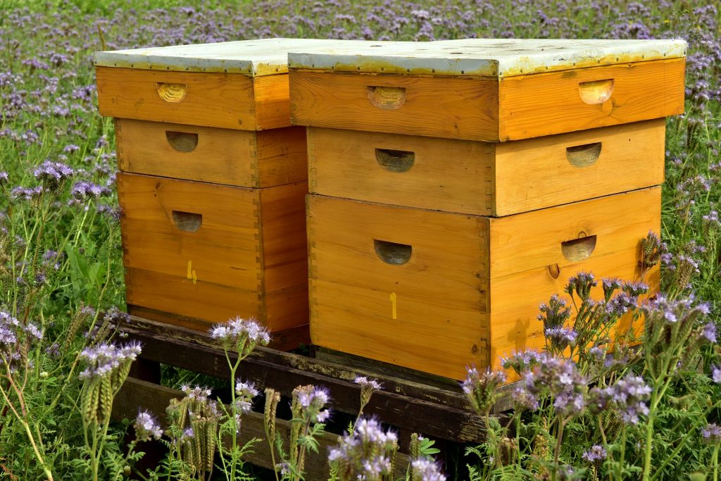 Beehives