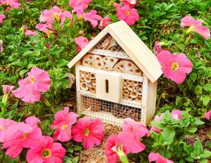 Niteangel Natural Bee House