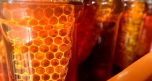 Mason Jar Beekeeping