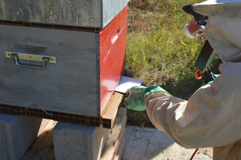 Varroa Mite Treatment with Oxalic Acid