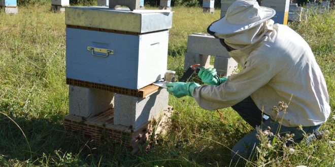 US Beehive Entrance Feeder Bee Hive Drinking Equip Beekeeping Supplies Farming C