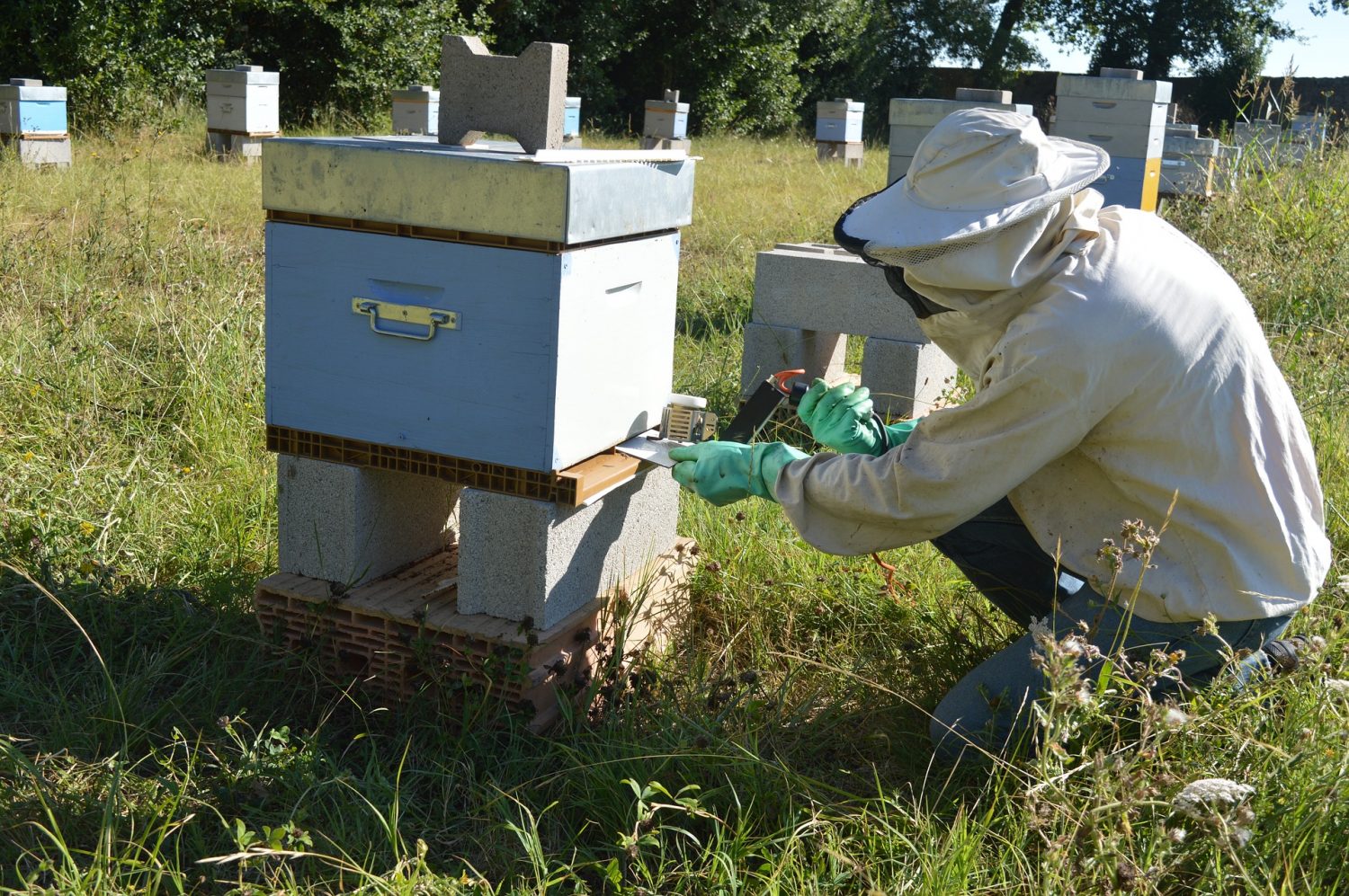 Balacoo Bee Hive Fumigation Treatment Oxalic Acid Vaporizer Evaporator Mite Fumigation Bee Beekeeping Tool 