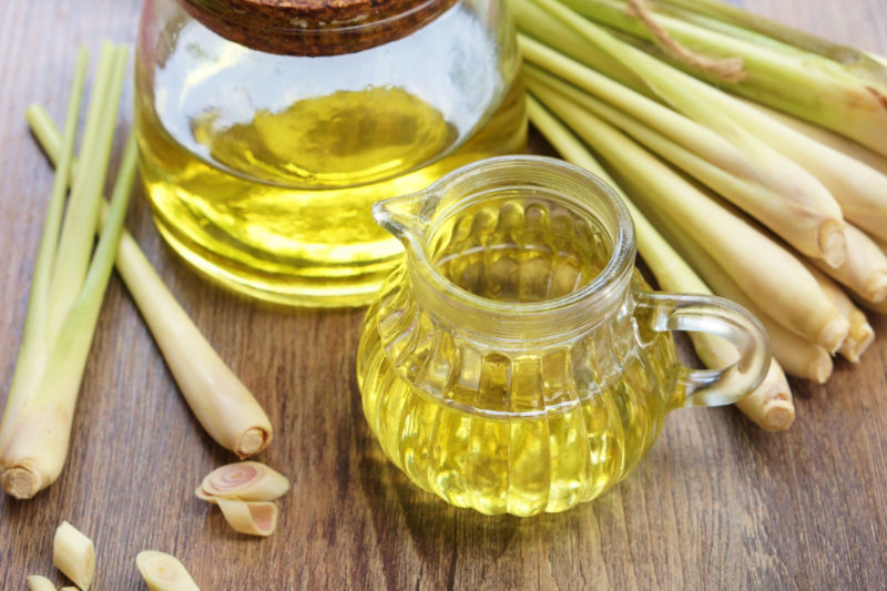 Using Essential Oils with Honeybees - Lemongrass Oil