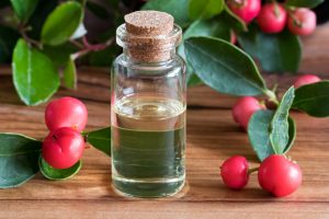Using Essential Oils with Honeybees - Wintergreen Oil