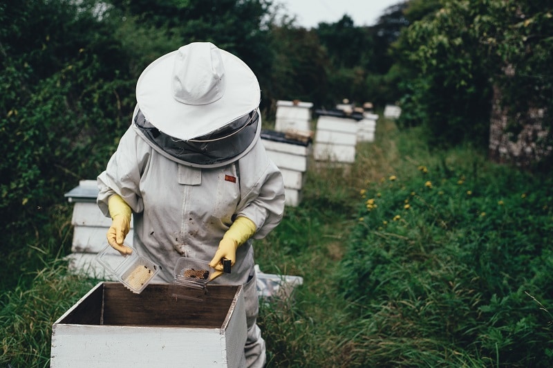 Medieval Beekeeping - Protective Clothing