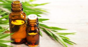 Using Essential Oils with Honeybees - Tea Tree Oil